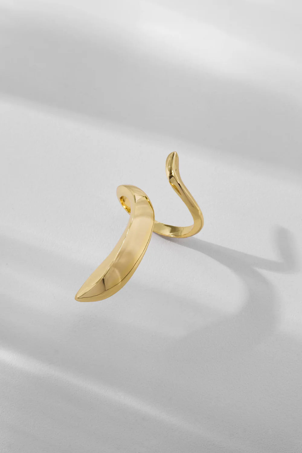 DUALIS ANILLO